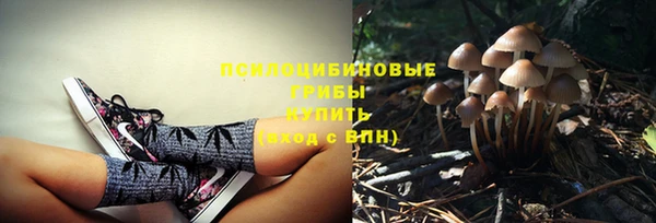 мдпв Кукмор